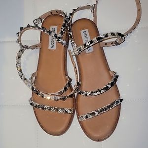 Steve Madden studded sandals in exotic